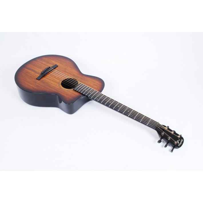 Blackbird carbon best sale fiber guitar