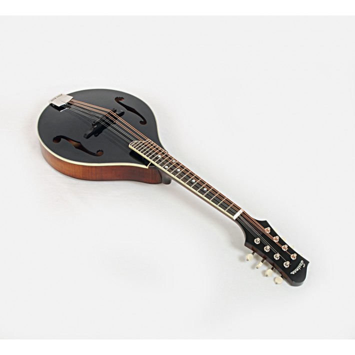 Eastman MD505-BK-LTD A-Style Full Gloss Hand Carved Mandolin #02609