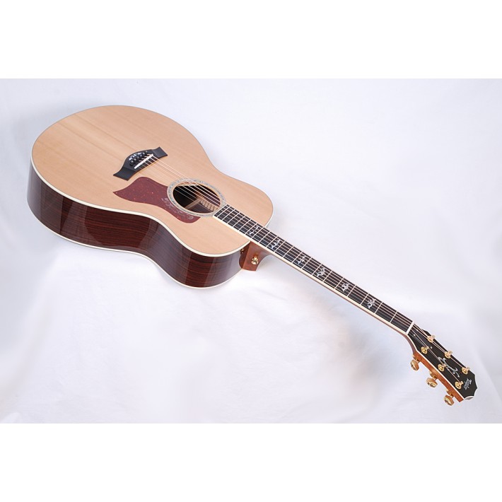 Taylor Guitars Custom GS for Andromeda