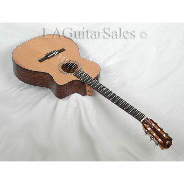 Taylor NS24CE-LTD 2011 Fall Limited Nylon String With ESN