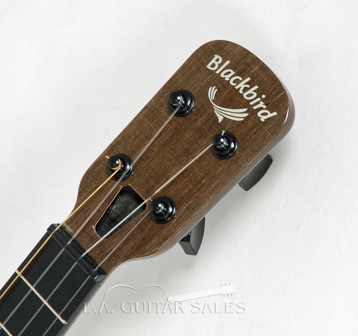 Farallon Ekoa Tenor Ukulele - Blackbird Guitars