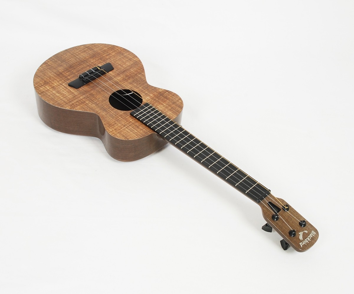 Blackbird ukulele for on sale sale