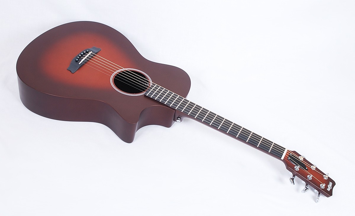 RainSong APSE Al Petteway Special Edition CO OM1000NS 12 Fret 697