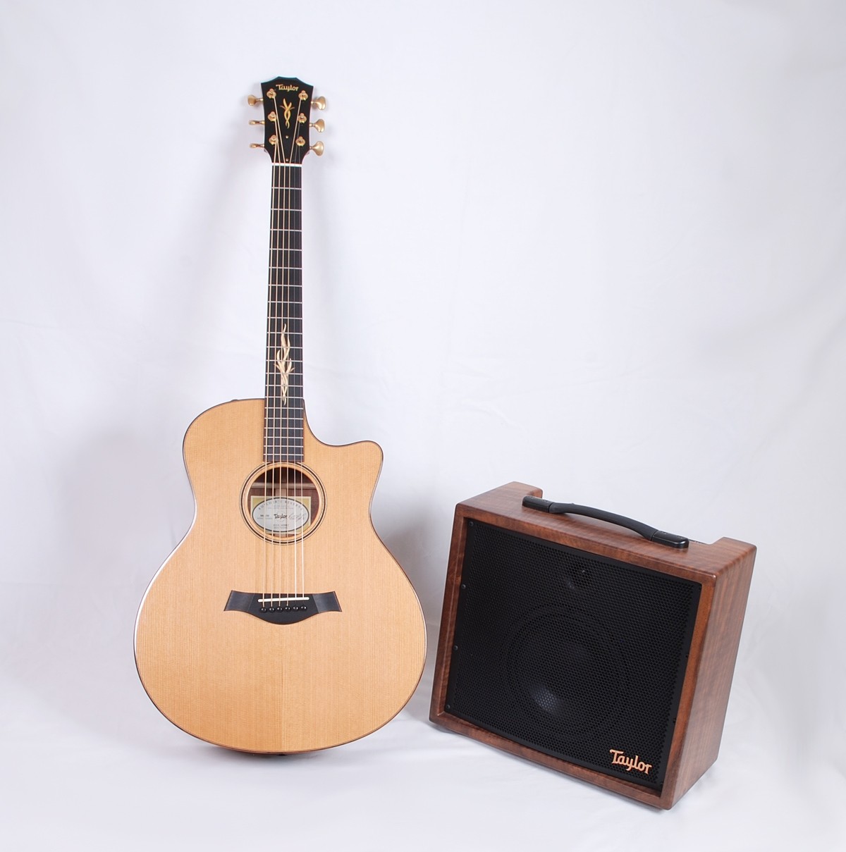 Best amp for taylor acoustic guitar discount