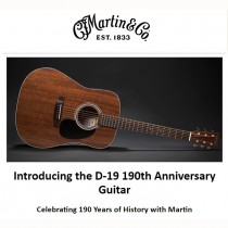 Martin D-19 190th Anniversary Guitar