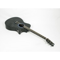 RainSong BI-OM1000N2 Black Ice Series OM with LR Baggs Element Electronics #601