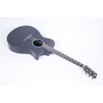 RainSong CO-OM1000N2 Concert Series OM With LR Baggs Element Electronics