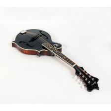 Eastman MD515-BK-LTD F-Style Full Gloss Hand Carved Mandolin #00840