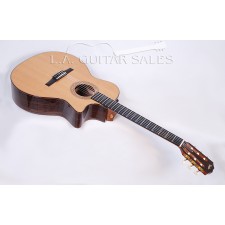 Taylor NS74ce Rosewood Cedar nylon string Grand Auditorium with ES electronics