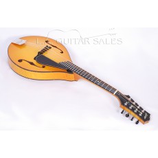 Collings MT2 Mandolin Englemann Birdseye Maple Varnish Finish