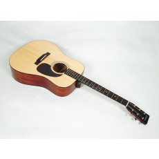 Eastman E10D Mahogany Adirondack Dreadnought #18571