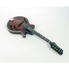 Eastman ER-M El Rey F-Hole Mandolin Classic Finish #03512