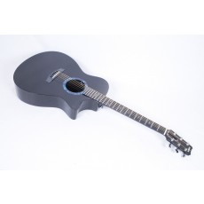 RainSong CO-OM1000N2 Concert Series OM With LR Baggs Element Electronics