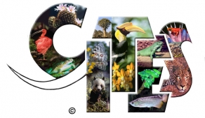 David vs Goliath: The Industry Takes On CITES!
